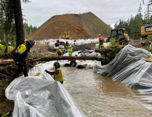 Beatson Mine Remediation- Phase 1